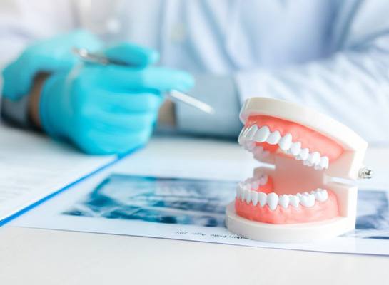 Dentist sitting at desk with a dental model